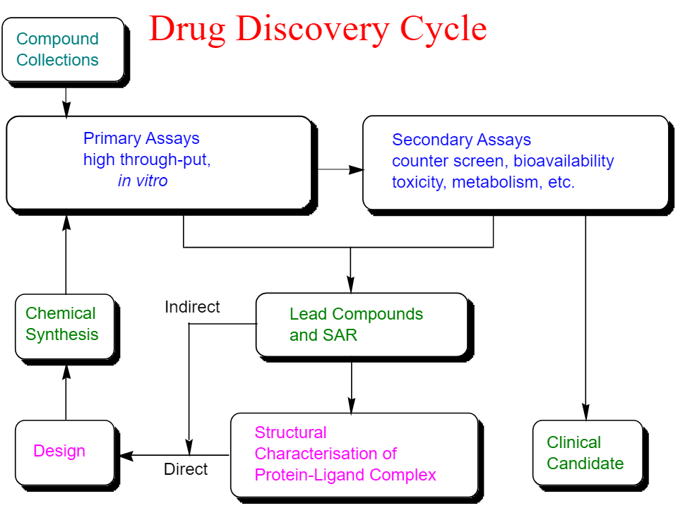 drug discovery cycle 